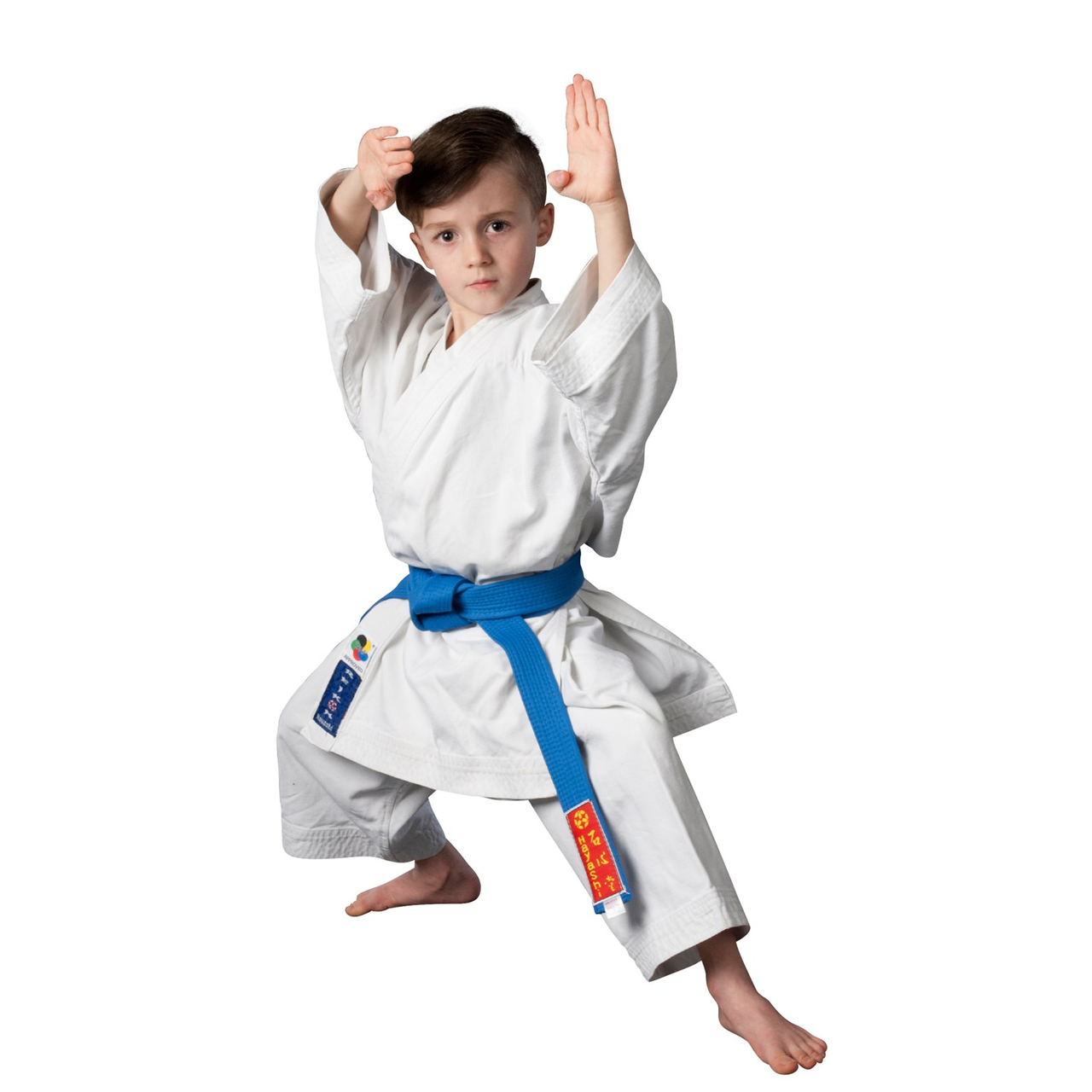 Legacy Martial Arts Salisbury